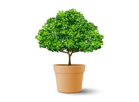 tree plant in the pot,tree and leaf,realistic tree,tree vector,bonsaiのイラスト素材