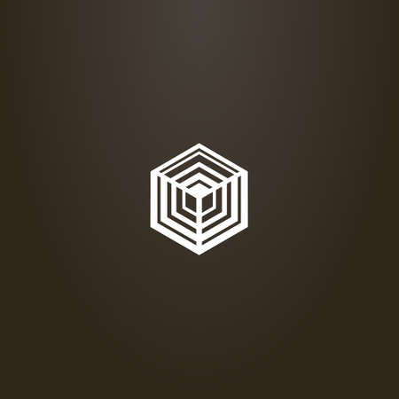 white sign on a black background. simple vector geometric line art sign of the hexagon cubic structureのイラスト素材