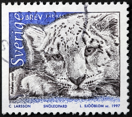 SWEDEN - CIRCA 1997  a stamp printed by Sweden shows image of Snow Leopard  Panthera uncia , circa 1997 のeditorial素材