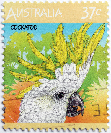 AUSTRALIA - CIRCA 1987: A stamp printed by AUSTRALIA shows Cockatoo, circa 1987のeditorial素材