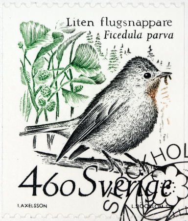 SWEDEN - CIRCA 1989  a stamp printed by SWEDEN shows The Red-breasted Flycatcher  Ficedula parva , circa 1989 のeditorial素材
