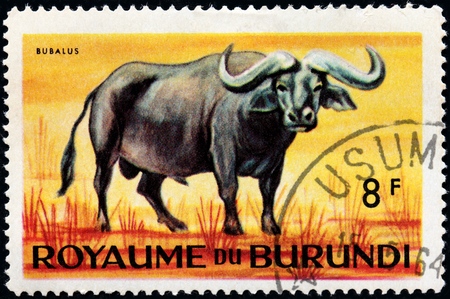 BURUNDI - CIRCA 1964: A stamp printed by BURUNDI shows an African animal - Bubalus, circa 1964のeditorial素材