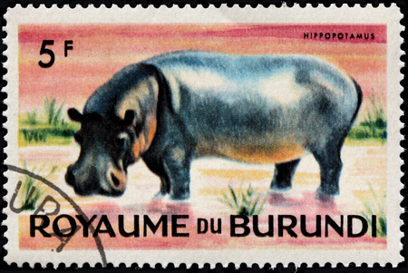 BURUNDI - CIRCA 1964: A stamp printed by BURUNDI shows Hippopotamus (Hippopotamus amphibius), or Hippo - a large, mostly herbivorous mammal in sub-Saharan Africa, circa 1964のeditorial素材