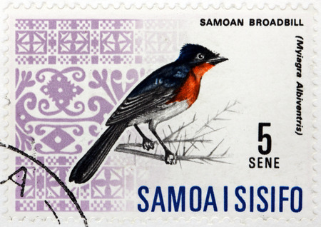 WESTERN SAMOA - CIRCA 1967: A stamp printed by WESTERN SAMOA, shows Samoan Broadbill or Flycatcher (Myiagra albiventris), circa 1967.のeditorial素材