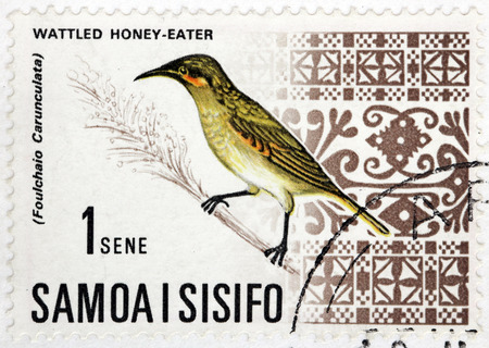 WESTERN SAMOA - CIRCA 1967: A stamp printed by WESTERN SAMOA, shows Wattled Honeyeater (Foulehaio Carunculata) -  a species of bird in the honeyeater family Meliphagidae, circa 1967.のeditorial素材