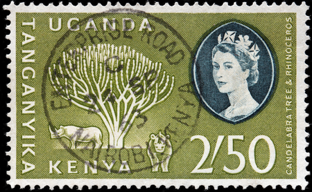 KENYA, TANGANYIKA, UGANDA - CIRCA 1960: A stamp printed by KENYA, TANGANYIKA, UGANDA (East African Community) shows Candelabra Tree and two Rhinoceros, circa 1960のeditorial素材