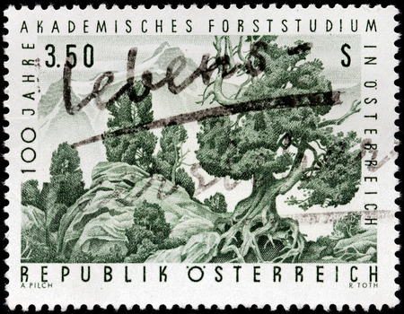 AUSTRIA - CIRCA 1967: A stamp printed by AUSTRIA shows beautiful view of the Swiss Pine (Pinus cembra) in the upper treeline of a forest, circa 1967のeditorial素材