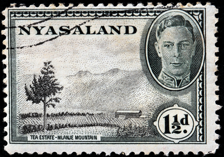 NYASALAND - CIRCA 1945: A stamp printed by NYASALAND shows view of Tea Estate - Mlanje Mountain, circa 1945のeditorial素材