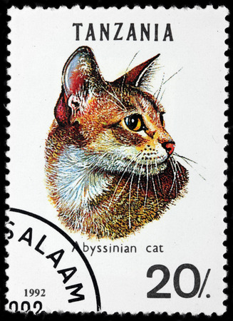 LUGA, RUSSIA - JUNE 25, 2016: A stamp printed by TANZANIA shows Abyssinian Cat - a most popular breed of domestic short-haired cat in the United States, circa 1992のeditorial素材