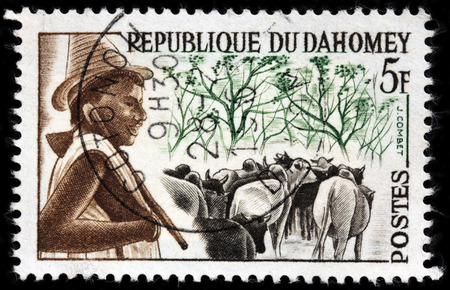 LUGA, RUSSIA - APRIL 12, 2016: A stamp printed by DAHOMEY shows Peuhl Herdsman and Cattle, circa 1963のeditorial素材
