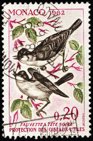LUGA, RUSSIA - NOVEMBER 29, 2016: A stamp printed by MONACO shows Eurasian Blackcap (Sylvia atricapilla) usually known simply as blackcap - a common and widespread typical warbler, circa 1962のeditorial素材