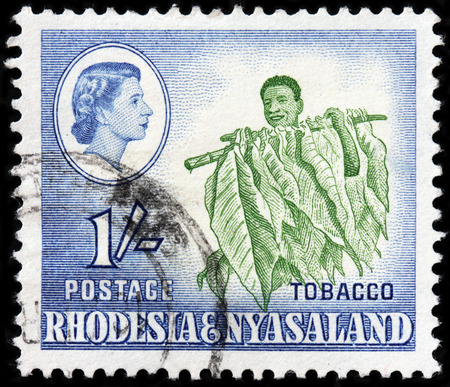 LUGA, RUSSIA - SEPTEMBER 18, 2015: A stamp printed by RHODESIA AND NYASALAND shows image portrait of Queen Elizabeth II and farmer harvesting tobacco plants, circa 1959のeditorial素材
