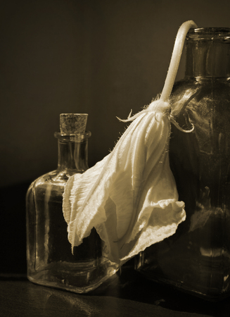 Wilted cucurbita flower and two small vintage glass botlles against a low key background. Vanitas style still life in sepia tone. Break up, aging or death concept. Choose a focal point.の写真素材