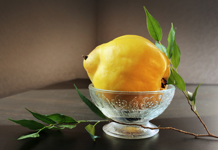 Still life with ripe yellow quince in vintage glass vase and green branch against a low key background. Shallow depth, selective focus.の写真素材