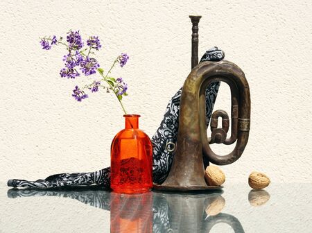 Still life with flower in vintage glass bottle, two whole walnuts and old rusty bugle against a high...