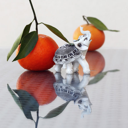 Still life with ripe juicy tangerines and small toy elephant with amazing reflections against a high key background. Selective and soft focus.の写真素材