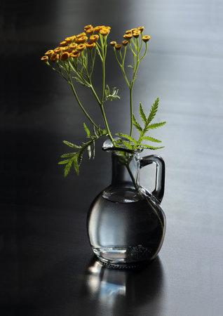 Still life with tansy also known as bitter buttons, cow bitter, or golden buttons. selective soft focus.の写真素材