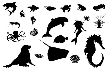Sea world silhouette,marine lifeの写真素材