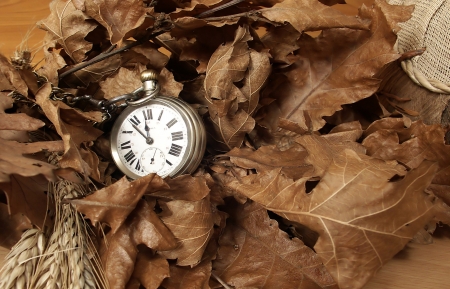 Time for autumnの写真素材