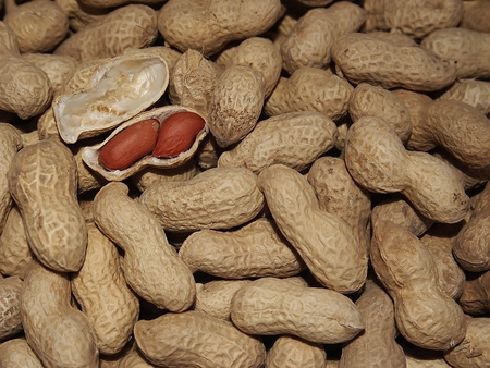 Peanutus in shell on the market close up