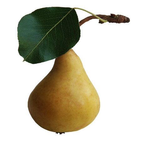 One pear with leaf