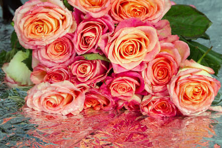 Roses are queen of all colorsの写真素材