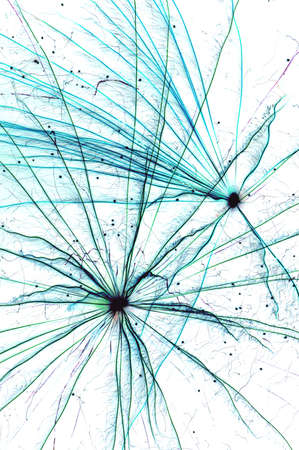 Celebratory salute this very beautiful show