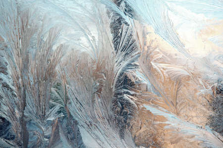 In the winter at windows beautiful figures are formed.の写真素材