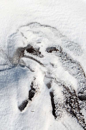 Sleet at a wind sticks to the ground, forming beautiful reliefsの写真素材