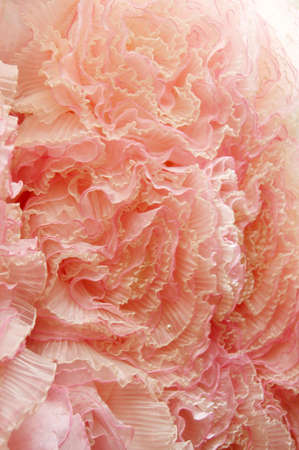 The wedding dress made manually it is very beautifulの写真素材