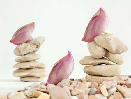 Decorating of wild stones by violet colorsの写真素材