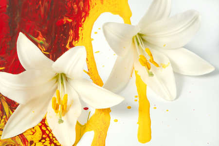 Combination of artificial paints and natural elementsの写真素材