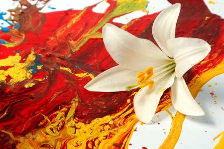 Combination of artificial paints and natural elementsの写真素材