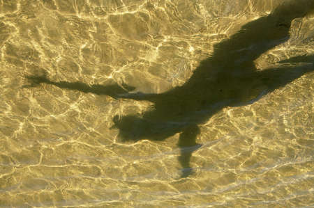 Beautiful surface of a superficial reservoir with transparent water.の写真素材