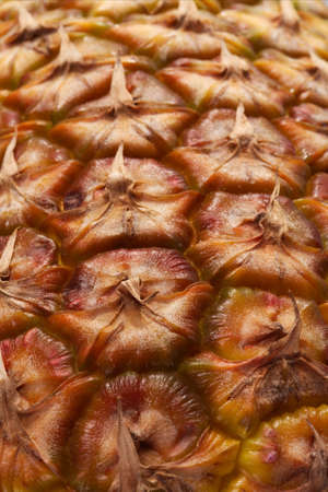  texture of ripe pineapple backgroundの写真素材