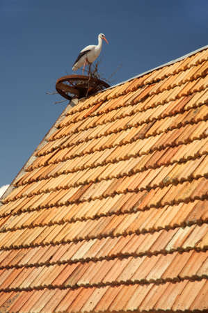 Jack of a stork on top of a roof of an apartment house.の写真素材