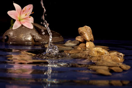 Composition for a relaxation from sea stones and a lily. 