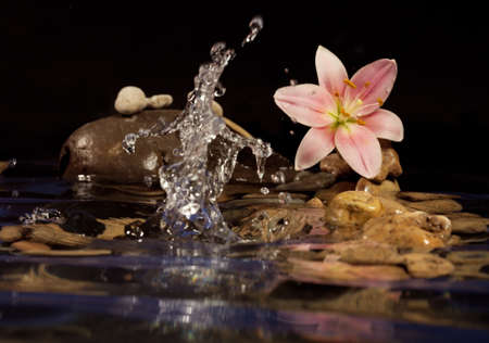 Composition for a relaxation from sea stones and a lily. の写真素材