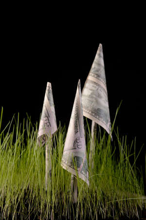 Imitation of growth of mushrooms on a green grass.の写真素材