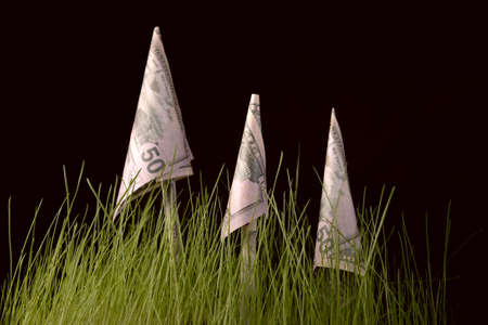 Imitation of growth of mushrooms on a green grass.の写真素材