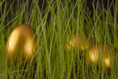 Gold easter egg on a green grass.の写真素材