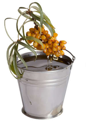 Oil of sea-buckthorn berries. Branch of a plant and oil.