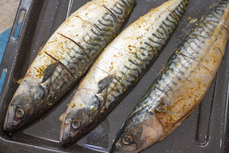 Carcasses of fish - a mackerel ready for roasting in the furnaceの写真素材