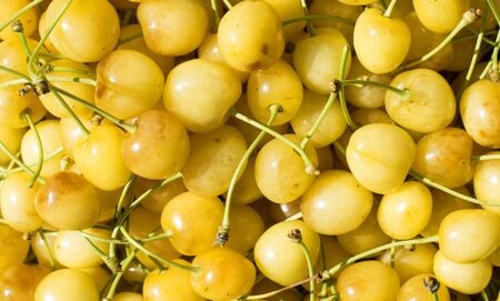 Texture - Fresh yellow cherry gathered from the garden