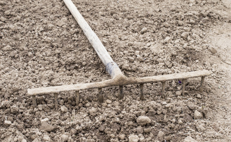 Rakes for farmer on the background of fertile soilの写真素材
