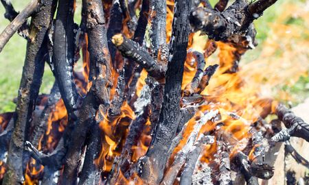 Texture - the process of burning firewood in the open airの写真素材