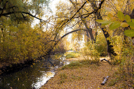 Driving truck on the track on a background of sky with clouds in the daytimeの写真素材