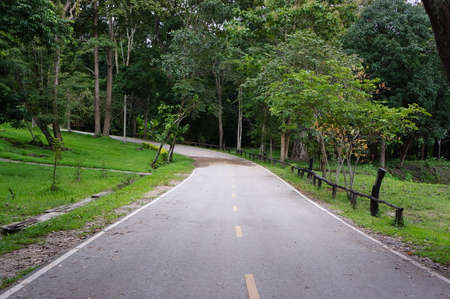 Road