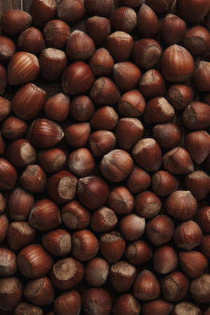 Hazelnut. Fresh organic filbert. Nuts macro background.の写真素材