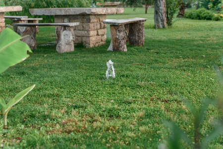 Modern grass garden sprinkler in a lawnの写真素材